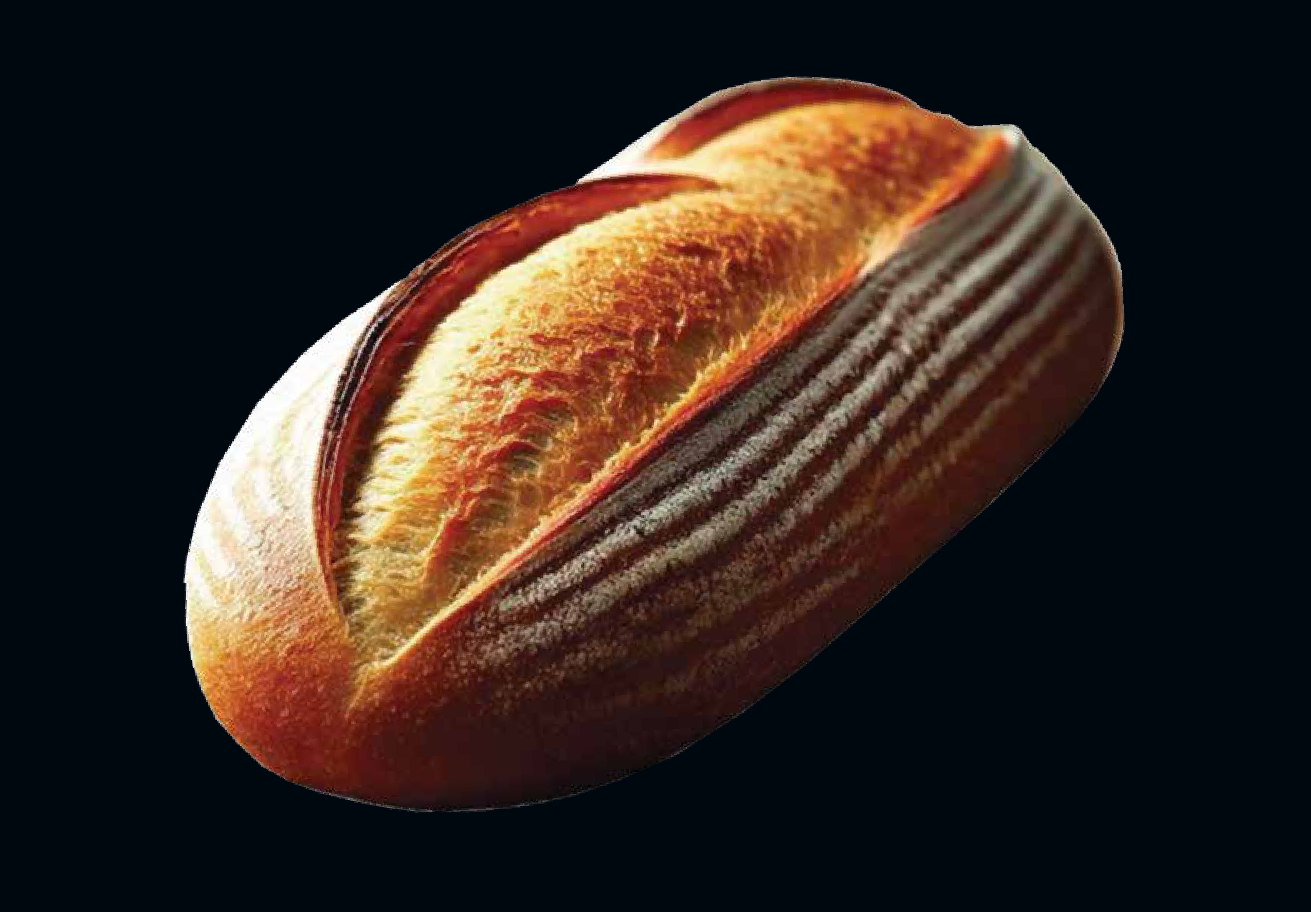 Whole Wheat Italian Buns (6 Pcs)